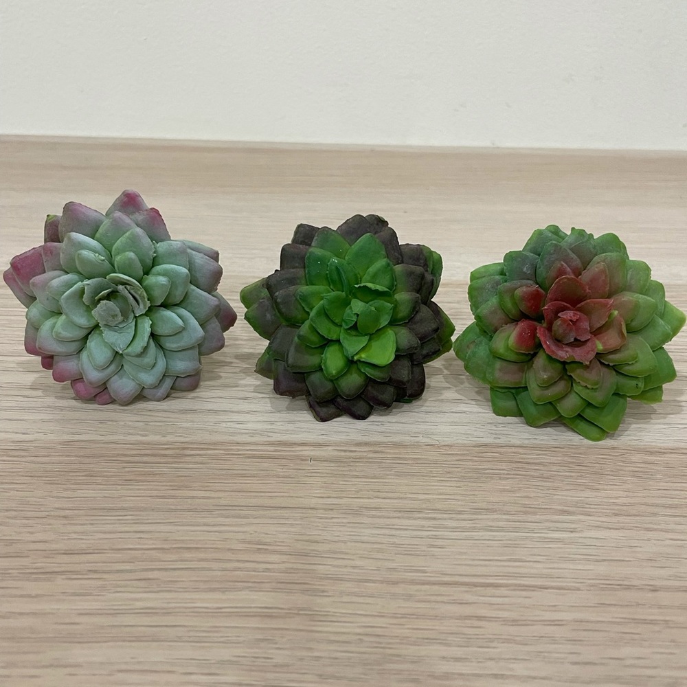 Faux Succulent